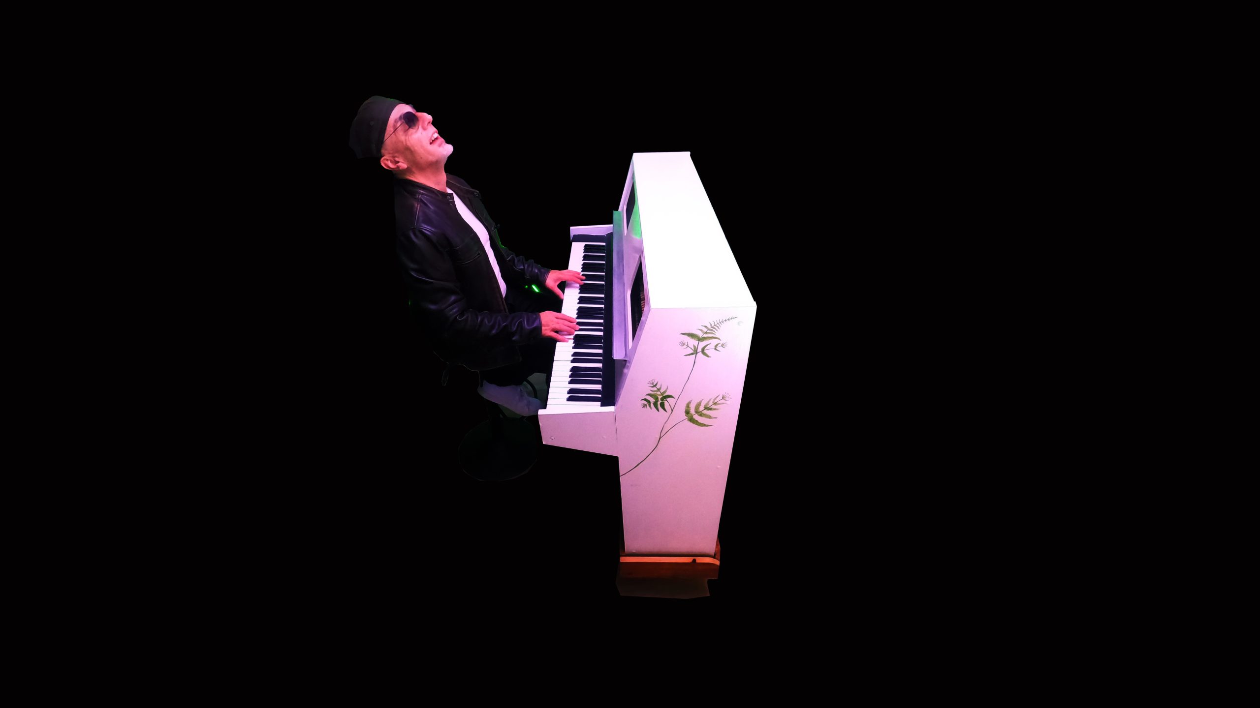 pianiste chanteur animation mariages dans le loiret
